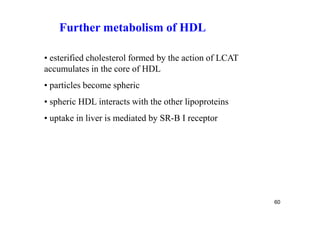 Further metabolism of HDL

• esterified cholesterol formed by the action of LCAT
accumulates in the core of HDL
• particles become spheric
• spheric HDL interacts with the other lipoproteins
• uptake in liver is mediated by SR-B I receptor




                                                        60
 