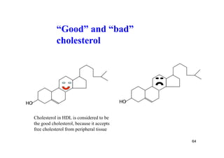 “Good” and “bad”
                cholesterol




HO                                              HO


     Cholesterol in HDL is considered to be
     the good cholesterol, because it accepts
     free cholesterol from peripheral tissue

                                                     64
 