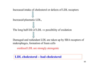 Increased intake of cholesterol or defects of LDL receptors


Increased plasmatic LDL,


The long half-life of LDL  possibility of oxidation


Damaged and redundant LDL are taken up by SRA receptors of
makrophages, formation of foam cells
   oxidized LDL are strongly aterogenic


 LDL cholesterol – bad cholesterol
                                                              65
 