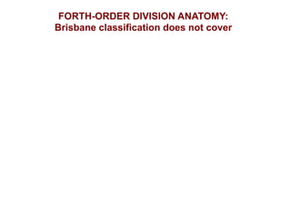 Liver anatomy and terminology, in brief, 2018, by R. Lunevicius | PPT