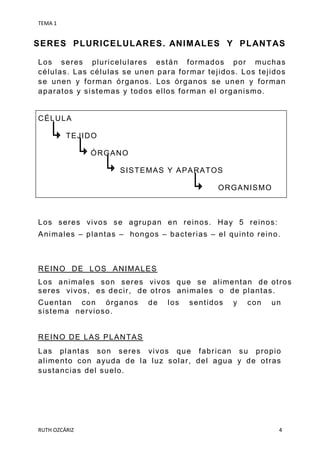 TEMA 1
RUTH OZCÁRIZ 4
SERES PLURICELULARES. ANIMALES Y PLANTAS
Los seres pluricelulares están formados por muchas
células. Las células se unen para formar tejidos. Los tejidos
se unen y forman órganos. Los órganos se unen y forman
aparatos y sistemas y todos ellos forman el organismo.
CÉLULA
TEJIDO
ÓRGANO
SISTEMAS Y APARATOS
ORGANISMO
Los seres vivos se agrupan en reinos. Hay 5 reinos:
Animales – plantas – hongos – bacterias – el quinto reino.
REINO DE LOS ANIMALES
Los animales son seres vivos que se alimentan de otros
seres vivos, es decir, de otros animales o de plantas.
Cuentan con órganos de los sentidos y con un
sistema nervioso.
REINO DE LAS PLANTAS
Las plantas son seres vivos que fabrican su propio
alimento con ayuda de la luz solar, del agua y de otras
sustancias del suelo.
 