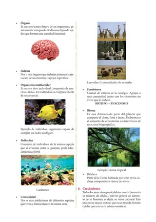 •	Órgano
	 Es una estructura dentro de un organismo, ge-
neralmente compuesta de diversos tipos de teji-
dos que forman una cantidad funcional.
•	Sistema
	 Dosomásórganosquetrabajanjuntosenlaeje-
cución de una función corporal específica.
•	 Organismo multicelular
	 Es un ser vivo individual compuesto de mu-
chas células. Un individuo es el representante
de una especie.
	 Ejemplo de individuo: organismo capaza de
cumplir un nicho ecológico
•	Población
	 Conjunto de individuos de la misma especie
que al cruzarse entre sí generan prole (des-
cendencia) fértil
Cardumen
•	Comunidad
	 Dos o más poblaciones de diferentes especies
que viven e interactúan en la misma tarea.
	
	 Leyendas: Ccomunidades de animales
•	Ecosistema
	 Unidad de estudio de la ecología. Agrupa a
una comunidad junto con los elementos no
vivos que lo rodean.
BIOTIPO + BIOCENOSIS
•	Bioma
	 Es una determinada parte del planeta que
comparte el clima, flora y fauna. Un bioma es
el conjunto de ecosistemas característicos de
una zona biogeográfica.
Ejemplo: bioma tropical
•	Biósfera
	 Parte de la Tierra habitada por seres vivos, in-
cluye componentes vivos y no vivos.
6.	Crecimiento
	 Todos los seres vivos pluricelulares crecen (aumenta
su número de células), esto les genera un aumen-
to de su biomasa; es decir, su masa corporal. Este
proceso se da por mitosis que es un tipo de división
celular que ocurre en células somáticas.
 