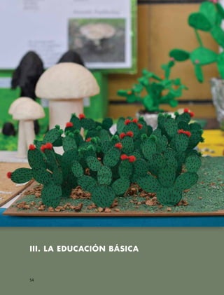 III. La educación básica
54
 