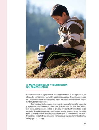 8. Mapa curricular y distribución
del tiempo lectivo
Cada componente incluye sus espacios curriculares específicos: asignaturas, en
el caso del componente Formación académica; Áreas de Desarrollo, en el caso
del componente Desarrollo personal y social; y ámbitos, en el caso del compo-
nente Autonomía curricular.
En el mapa curricular pueden observarse de manera horizontal la secuencia
y la gradualidad de los espacios curriculares que se cursan a lo largo de la educa-
ción básica. La organización vertical en grados y niveles educativos indica la carga
curricular de cada etapa. Esta representación gráfica no expresa por completo
todas las interrelaciones del currículo. Su información se complementa con la dis-
tribución de horas lectivas, semanales y anuales que se presentan más adelante,
de la página 140 a la 147.
135
 