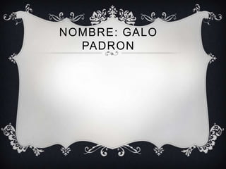 NOMBRE: GALO
  PADRON
 