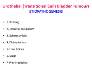 Urothelial (Transitional Cell) Bladder Tumours
ETIOPATHOGENESIS
• 1. Smoking
• 2. Industrial occupations
• 3. Schistosomiasis
• 4. Dietary factors
• 5. Local lesions
• 6. Drugs
• 7. Prior irraditation
 