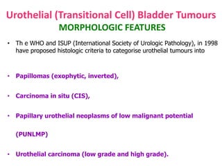 Urothelial (Transitional Cell) Bladder Tumours
MORPHOLOGIC FEATURES
• Th e WHO and ISUP (International Society of Urologic Pathology), in 1998
have proposed histologic criteria to categorise urothelial tumours into
• Papillomas (exophytic, inverted),
• Carcinoma in situ (CIS),
• Papillary urothelial neoplasms of low malignant potential
(PUNLMP)
• Urothelial carcinoma (low grade and high grade).
 