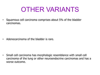OTHER VARIANTS
• Squamous cell carcinoma comprises about 5% of the bladder
carcinomas.
• Adenocarcinoma of the bladder is rare.
• Small cell carcinoma has morphologic resemblance with small cell
carcinoma of the lung or other neuroendocrine carcinomas and has a
worse outcome.
 