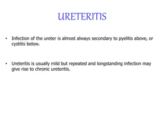 URETERITIS
• Infection of the ureter is almost always secondary to pyelitis above, or
cystitis below.
• Ureteritis is usually mild but repeated and longstanding infection may
give rise to chronic ureteritis.
 