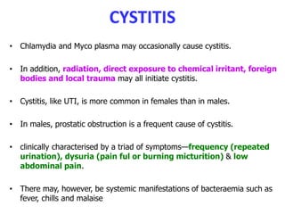 CYSTITIS
• Chlamydia and Myco plasma may occasionally cause cystitis.
• In addition, radiation, direct exposure to chemical irritant, foreign
bodies and local trauma may all initiate cystitis.
• Cystitis, like UTI, is more common in females than in males.
• In males, prostatic obstruction is a frequent cause of cystitis.
• clinically characterised by a triad of symptoms—frequency (repeated
urination), dysuria (pain ful or burning micturition) & low
abdominal pain.
• There may, however, be systemic manifestations of bacteraemia such as
fever, chills and malaise
 