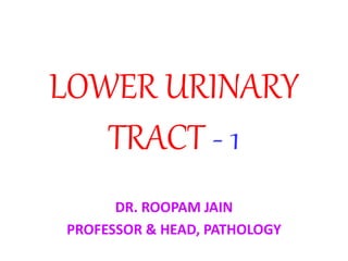 LOWER URINARY
TRACT - 1
DR. ROOPAM JAIN
PROFESSOR & HEAD, PATHOLOGY
 