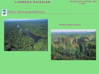 Oihana - Klima ekuatorialari lotuta Amazoniako oihana 