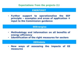 Introduction to the policy framework, the most relevant points of the calls including the expectations that DG ENER has from the projects