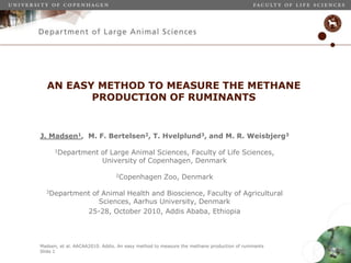 Madsen, et al. AACAA2010. Addis. An easy method to measure the methane production of ruminants
Slide 1
AN EASY METHOD TO MEASURE THE METHANE
PRODUCTION OF RUMINANTS
J. Madsen1, M. F. Bertelsen2, T. Hvelplund3, and M. R. Weisbjerg3
1Department of Large Animal Sciences, Faculty of Life Sciences,
University of Copenhagen, Denmark
2Copenhagen Zoo, Denmark
3Department of Animal Health and Bioscience, Faculty of Agricultural
Sciences, Aarhus University, Denmark
25-28, October 2010, Addis Ababa, Ethiopia
 