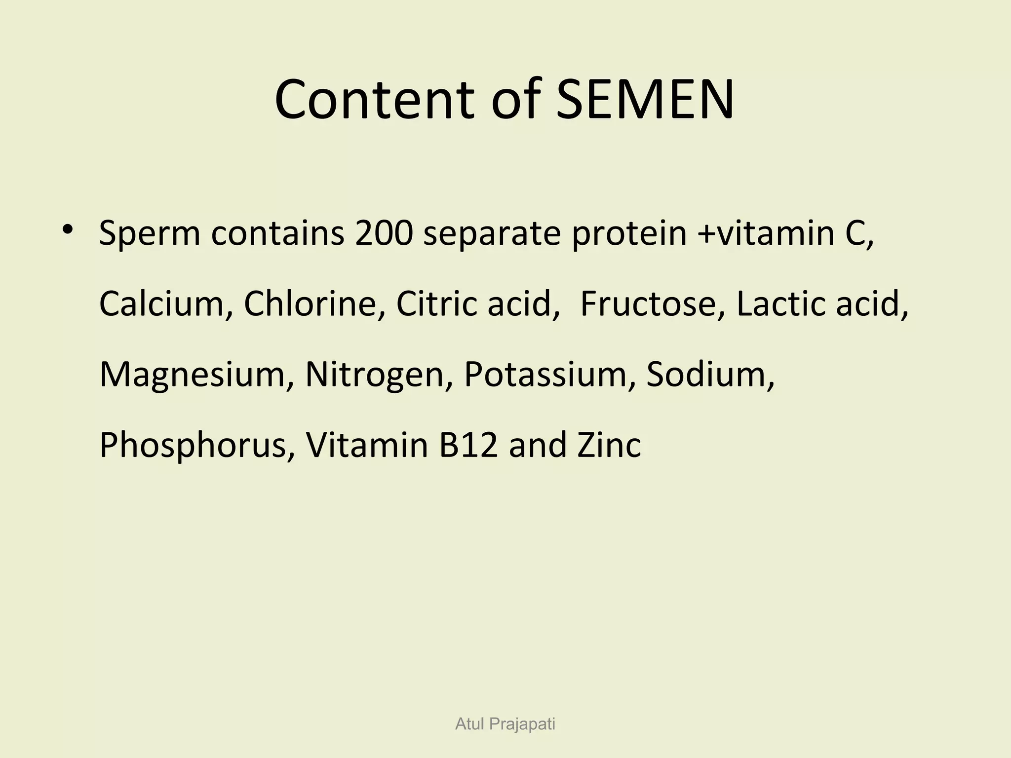 Male reproductive system | PPT