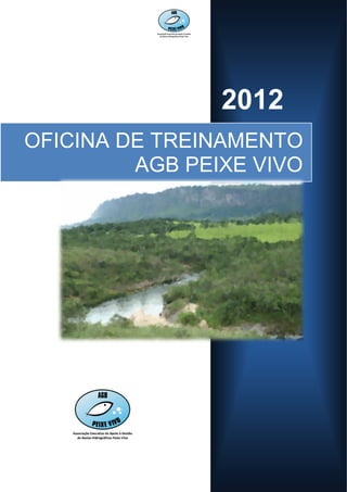 2012
OFICINA DE TREINAMENTO
         AGB PEIXE VIVO




                       1
 