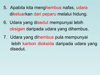 5. Apabila kita menghembus nafas, udara
dikeluarkan dari peparu melalui hidung.
6. Udara yang disedut mempunyai lebih
oksigen daripada udara yang dihembus.
7. Udara yang dihembus pula mempunyai
lebih karbon dioksida daripada udara yang
disedut.
 