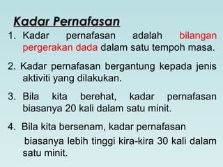 Kadar PernafasanKadar Pernafasan
1. Kadar pernafasan adalah bilangan
pergerakan dada dalam satu tempoh masa.
2. Kadar pernafasan bergantung kepada jenis
aktiviti yang dilakukan.
3. Bila kita berehat, kadar pernafasan
biasanya 20 kali dalam satu minit.
4. Bila kita bersenam, kadar pernafasan
biasanya lebih tinggi kira-kira 30 kali dalam
satu minit.
 