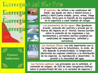 El sustrato:  Se refiere a las condiciones del fondo, que puede ser duro e inmóvil (rocas y peñas) o móvil (canto rodado, grava, arena, fango y arcilla). Sirve para la fijación de los organismos en la superficie o como también de refugio Los movimientos de las aguas:  Olas (producen erosión, remoción del sustrato y presión por la fuerza del impacto en el  litoral), mareas (actúan sobre la zonación de los organismos v sus movimientos) y corrientes marinas (cambian las condiciones de temperatura, salinidad y nutrientes). Los factores físicos:  Los más importantes son la luz (importante para la fotosíntesis, la visión, de ella depende la productividad), la temperatura (determina las regiones climáticas y la distribución de las especies, su reproducción y desarrollo) , la presión y la viscosidad del agua. Los factores químicos:  Los principales son la salinidad, el contenido de oxígeno, de CO2 de sales inorgánicas (influye sobre la productividad del mar y la variedad de especies.)  Factores Influyentes 