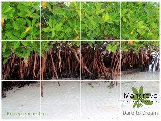 Entrepreneurship

Introduction to Mangrove Russia - Fall 2012

Dare to Dream
1

MANGROVE
Capital Partners

 