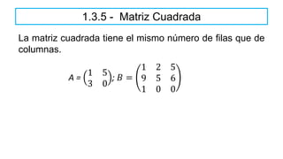 La matriz cuadrada tiene el mismo número de filas que de
columnas.
1.3.5 - Matriz Cuadrada
A =
1 5
3 0
; 𝐵 =
1 2 5
9 5 6
1 0 0
 