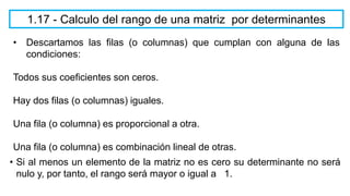 • Descartamos las filas (o columnas) que cumplan con alguna de las
condiciones:
Todos sus coeficientes son ceros.
Hay dos filas (o columnas) iguales.
Una fila (o columna) es proporcional a otra.
Una fila (o columna) es combinación lineal de otras.
1.17 - Calculo del rango de una matriz por determinantes
• Si al menos un elemento de la matriz no es cero su determinante no será
nulo y, por tanto, el rango será mayor o igual a 1.
 