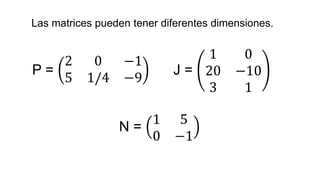 Las matrices pueden tener diferentes dimensiones.
P =
2 0 −1
5 1/4 −9
J =
1 0
20 −10
3 1
N =
1 5
0 −1
 