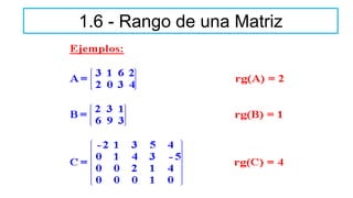 1.6 - Rango de una Matriz
 