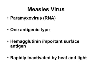 • Paramyxovirus (RNA)
• One antigenic type
• Hemagglutinin important surface
antigen
• Rapidly inactivated by heat and light
Measles Virus
 