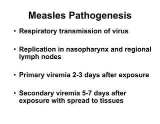 Measles Pathogenesis
• Respiratory transmission of virus
• Replication in nasopharynx and regional
lymph nodes
• Primary viremia 2-3 days after exposure
• Secondary viremia 5-7 days after
exposure with spread to tissues
 