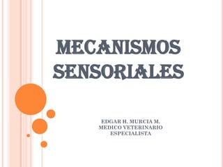 MECANISMOS
SENSORIALES

    EDGAR H. MURCIA M.
   MEDICO VETERINARIO
      ESPECIALISTA
 