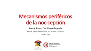 Mecanismos periféricos
de la nocicepción
Danny Steven Castiblanco Delgado
Fellow Medicina del Dolor y Cuidados Paliativos
UMNG - INC
 