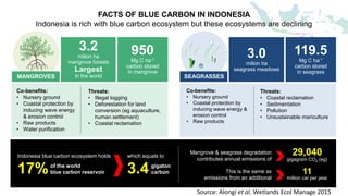 Linking Low Carbon Development Planning and Financing for Blue Carbon | PPT