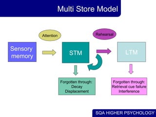 SQA HIGHER PSYCHOLOGY
Multi Store Model
Sensory
memory
LTMSTM
Attention Rehearsal
Forgotten through:
Decay
Displacement
Fo...
