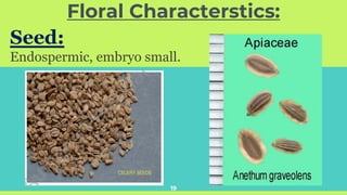 Floral Characterstics:
19
Seed:
Endospermic, embryo small.
 