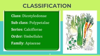 CLASSIFICATION
2
 
