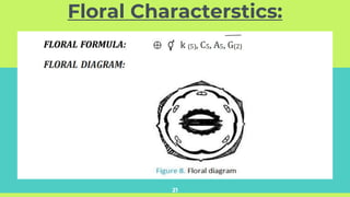 Floral Characterstics:
21
 