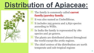 ‘’
▣ The family is commonly called carrot
family/parsley family.
▣ It was also named as Umbelliferae.
▣ It includes 295 genera and 2,850 species
according to Willis.
▣ In India the family is represented by 180
species and 30 genera.
▣ The plants are distributed almost throughout
the world except the arctic regions.
▣ The chief centres of the distribution are north
temperate and sub-tropical regions
3
 