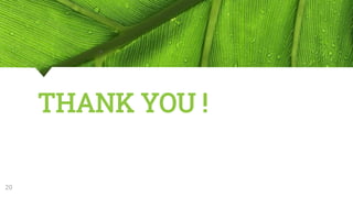 THANK YOU !
20
 
