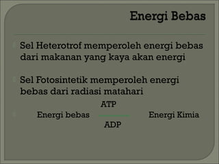    Sel Heterotrof memperoleh energi bebas
    dari makanan yang kaya akan energi

   Sel Fotosintetik memperoleh energi
    bebas dari radiasi matahari
                      ATP
      Energi bebas            Energi Kimia
                      ADP
 