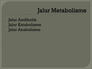    Jalur Amfibolik
   Jalur Katabolisme
   Jalur Anabolisme
 