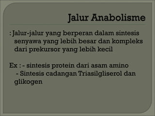 : Jalur-jalur yang berperan dalam sintesis
   senyawa yang lebih besar dan kompleks
   dari prekursor yang lebih kecil

Ex : - sintesis protein dari asam amino
  - Sintesis cadangan Triasilgliserol dan
 glikogen
 