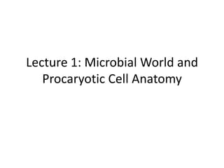 Lecture 1: Microbial World and
Procaryotic Cell Anatomy
 