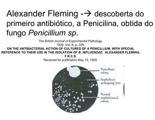 The British Journal of Experimental Pathology,
1929, Vol. X, p. 226.
ON THE ANTIBACTERIAL ACTION OF CULTURES OF A PENICILLIUM, WITH SPECIAL
REFERENCE TO THEIR USE IN THE ISOLATION OF B. INFLUENZAE. ALEXANDER FLEMING,
F.R.C.S.
Received for publication May 10, 1929.
Alexander Fleming - descoberta do
primeiro antibiótico, a Penicilina, obtida do
fungo Penicillium sp.
 