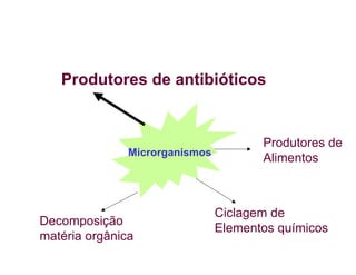 Microrganismos
Produtores de antibióticos
Decomposição
matéria orgânica
Ciclagem de
Elementos químicos
Produtores de
Alimentos
 