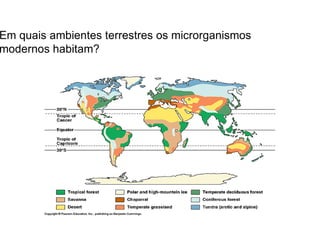 Em quais ambientes terrestres os microrganismos
modernos habitam?
 