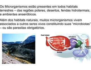 Os Microrganismos estão presentes em todos habitats
terrestres – das regiões polares, desertos, fendas hidrotermais,
a ambientes anaeróbicos.
Além dos habitats naturais, muitos microrganismos vivem
associados a outros seres vivos constituindo suas “microbiotas”
– ou são parasitas obrigatórios.
 