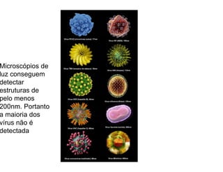 Microscópios de
luz conseguem
detectar
estruturas de
pelo menos
200nm. Portanto
a maioria dos
vírus não é
detectada
 