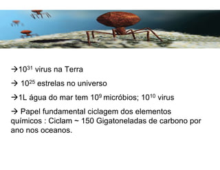 1031 virus na Terra
 1025 estrelas no universo
1L água do mar tem 109 micróbios; 1010 virus
 Papel fundamental ciclagem dos elementos
químicos : Ciclam ~ 150 Gigatoneladas de carbono por
ano nos oceanos.
 