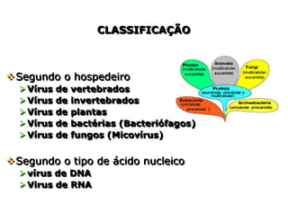 CLASSIFICAÇÃO
CLASSIFICAÇÃO
Segundo o hospedeiro
Vírus de vertebrados
Vírus de invertebrados
Vírus de plantas
Vírus de bactérias (Bacteriófagos)
Vírus de fungos (Micovírus)
Segundo o tipo de ácido nucleico
vírus de DNA
Virus de RNA
Segundo o hospedeiro
Vírus de vertebrados
Vírus de invertebrados
Vírus de plantas
Vírus de bactérias (Bacteriófagos)
Vírus de fungos (Micovírus)
Segundo o tipo de ácido nucleico
vírus de DNA
Virus de RNA
 